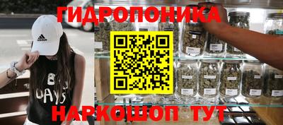 стаф Лесосибирск