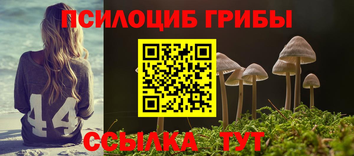 Галлюциногенные грибы Psilocybe  Вход с VPN  Зеленодольск  Галлюциногенные грибы Magic Shrooms 