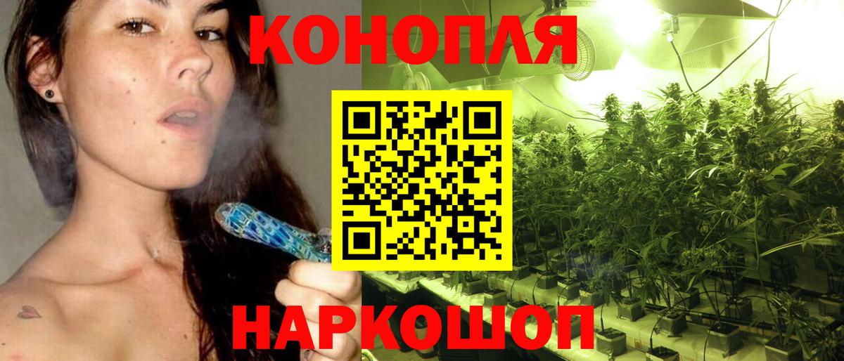 Канабис планчик Зеленодольск